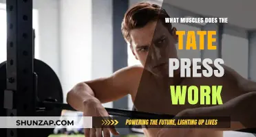 Tate Press Muscles: Targeted Upper Body Strength and Definition