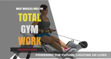 Total Gym Workout: Target Muscles and Full-Body Benefits Explained