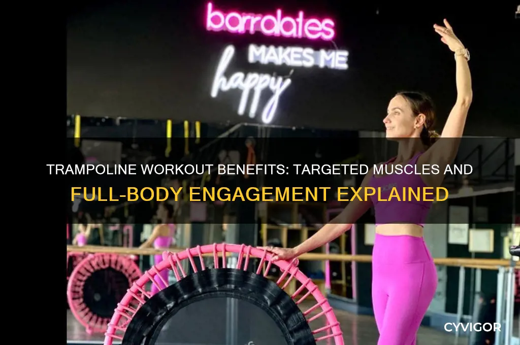 what muscles does the trampoline work