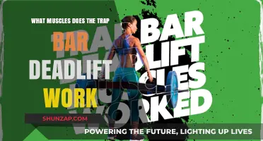 Trap Bar Deadlift Muscles: Targeted Strength Training Benefits Explained