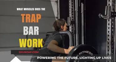 Trap Bar Workout: Target Muscles and Benefits Explained