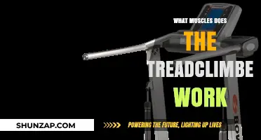 TreadClimber Workout Benefits: Targeted Muscles and Full-Body Engagement Explained