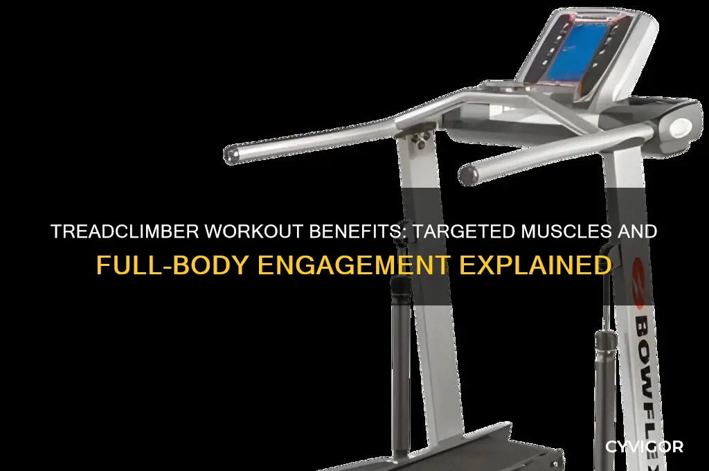 what muscles does the treadclimber work
