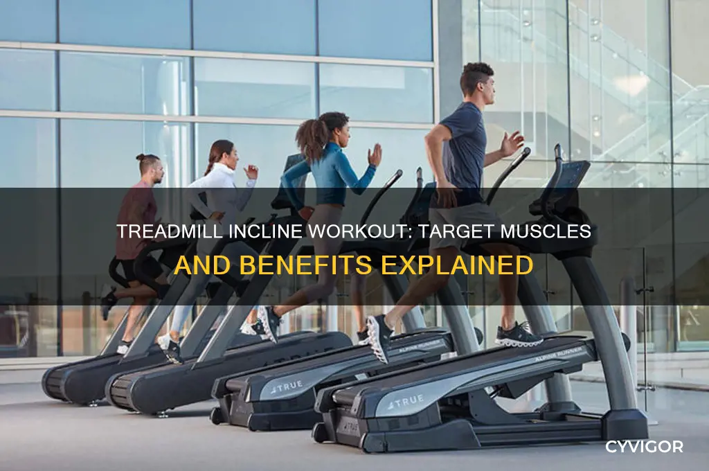 what muscles does the treadmill incline work
