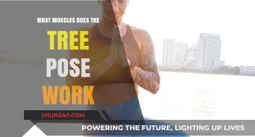 Tree Pose Benefits: Strengthening Core, Legs, and Balance Muscles