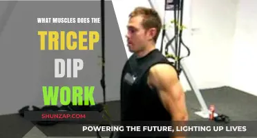 Tricep Dip Muscles: Targeted Arm Strengthening and Toning Benefits