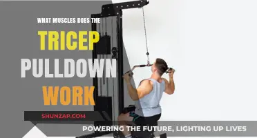 Tricep Pulldown: Target Muscles and Effective Workout Benefits
