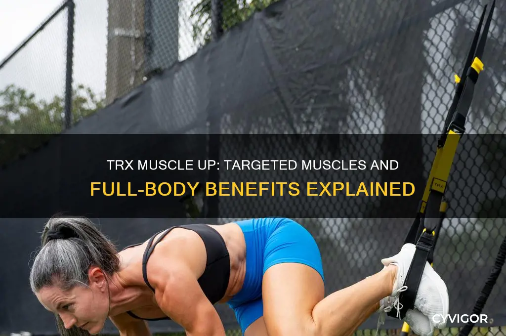 what muscles does the trx muscle up work