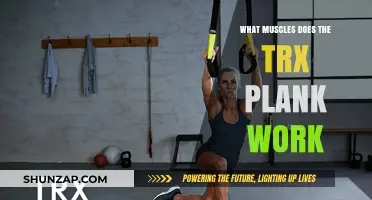 TRX Plank Benefits: Targeted Muscles and Core Strengthening Explained
