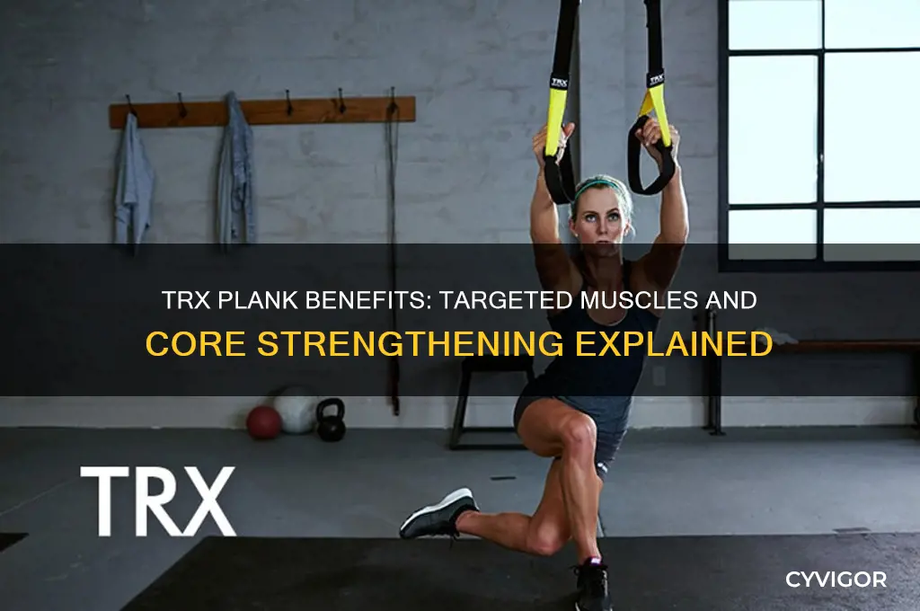 what muscles does the trx plank work