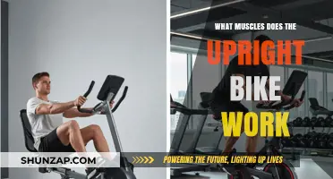 Upright Bike Benefits: Target Muscles and Full-Body Workout Explained
