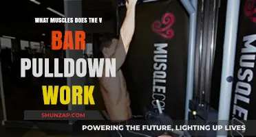 V-Bar Pulldown: Targeted Muscles and Benefits Explained