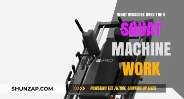 V Squat Machine: Target Muscles and Benefits Explained