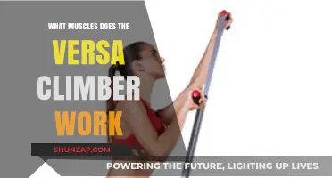 Versa Climber Workout: Target Muscles and Full-Body Benefits Explained