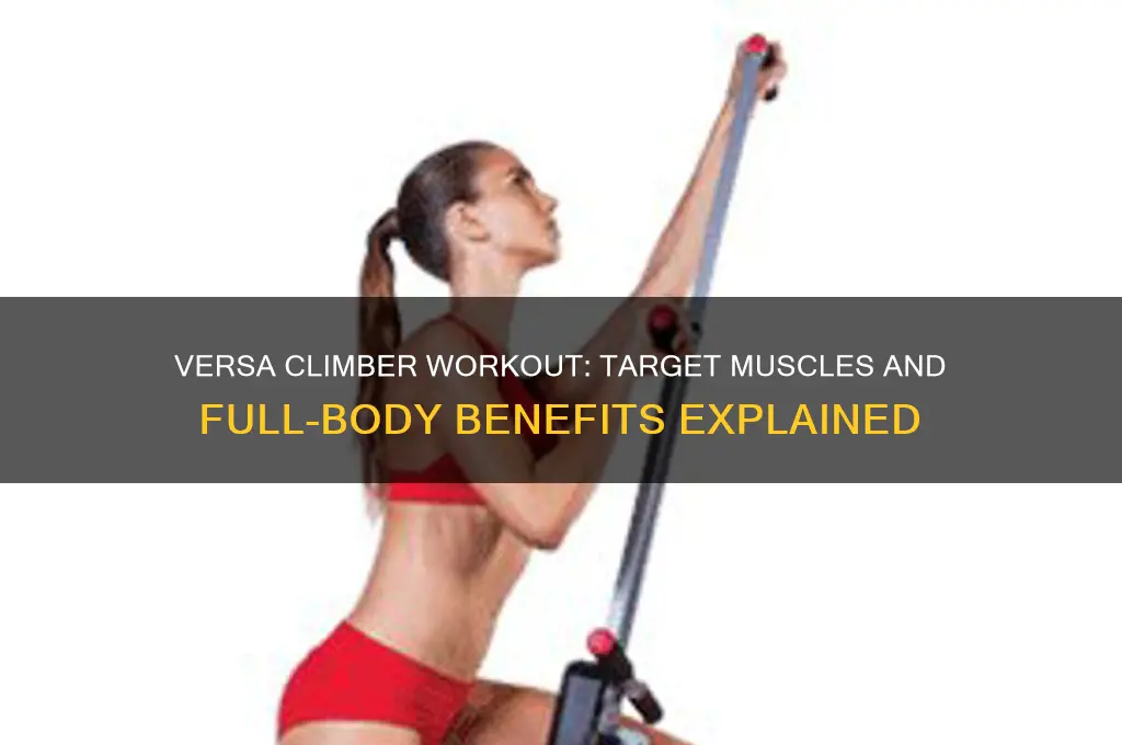 what muscles does the versa climber work