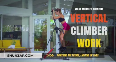 Vertical Climber Workout: Targeted Muscles and Full-Body Benefits Explained