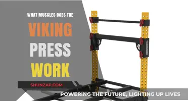 Viking Press Muscles: Targeted Strength Training for Upper Body Power