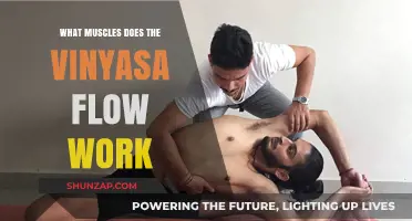 Vinyasa Flow Benefits: Targeted Muscles and Full-Body Strengthening Explained
