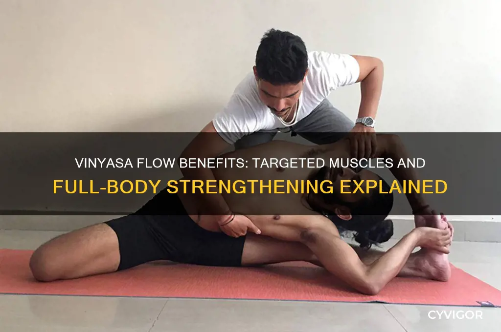 what muscles does the vinyasa flow work