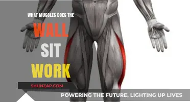 Wall Sit Muscles: Targeted Strength Training for Quads and Core