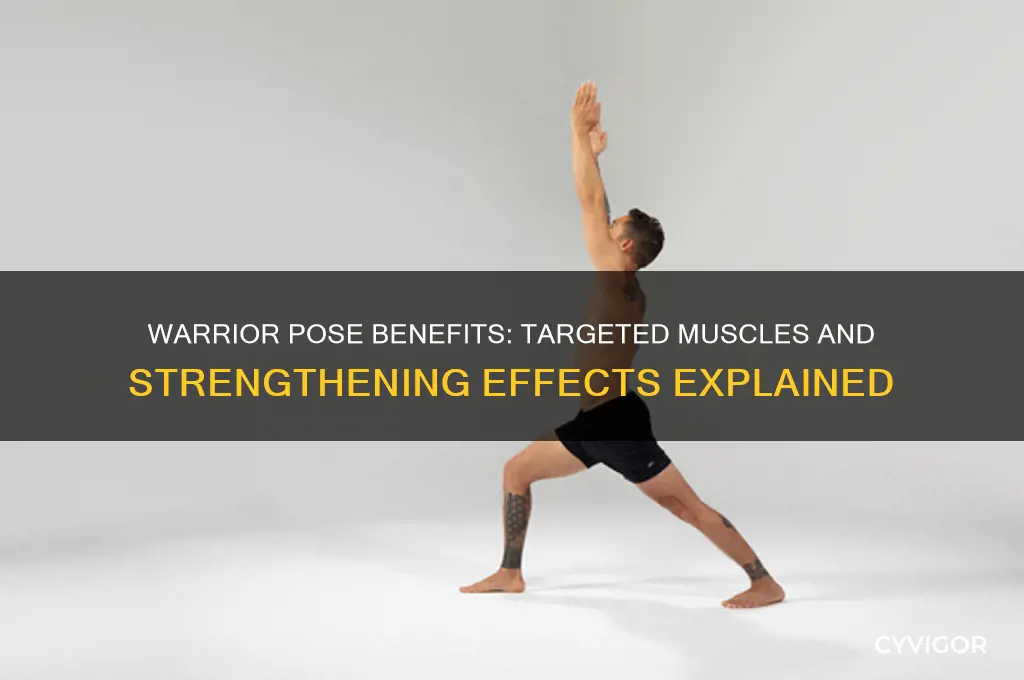 what muscles does the warrior pose work