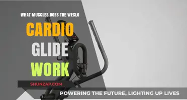 Weslo Cardio Glide: Targeted Muscles for Full-Body Workouts