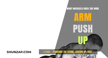 Wide Arm Push-Up Muscles: Chest, Shoulders, Triceps, and Core Engagement