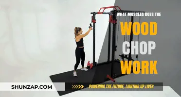 Wood Chop Workout: Targeting Core, Back, and Shoulder Muscles Effectively