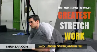Unlocking Flexibility: Muscles Targeted by the World's Greatest Stretch
