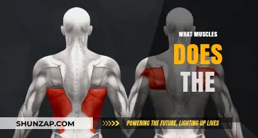 The Ultimate Guide to Muscle Movement