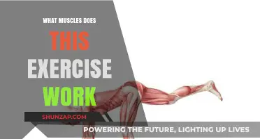 Targeted Muscles: Unveiling the Benefits of This Powerful Exercise