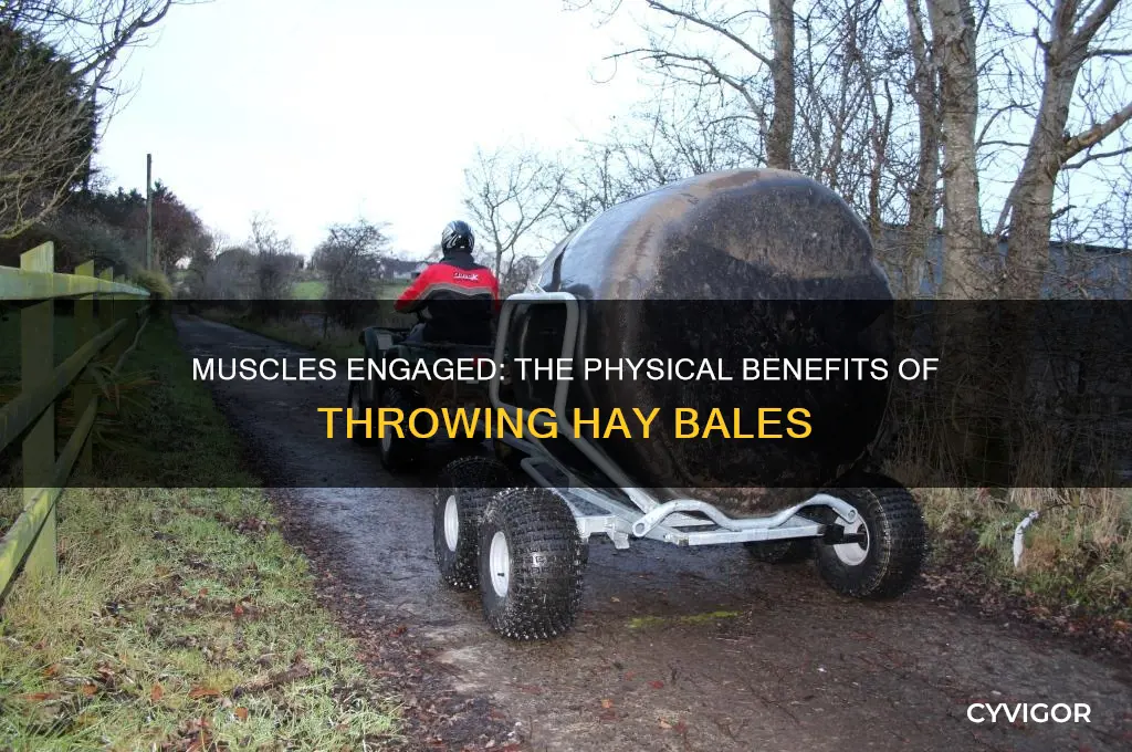 what muscles does throwing hay bales work