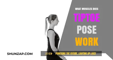 Tiptoe Pose Benefits: Targeted Muscles and Strengthening Effects Explained