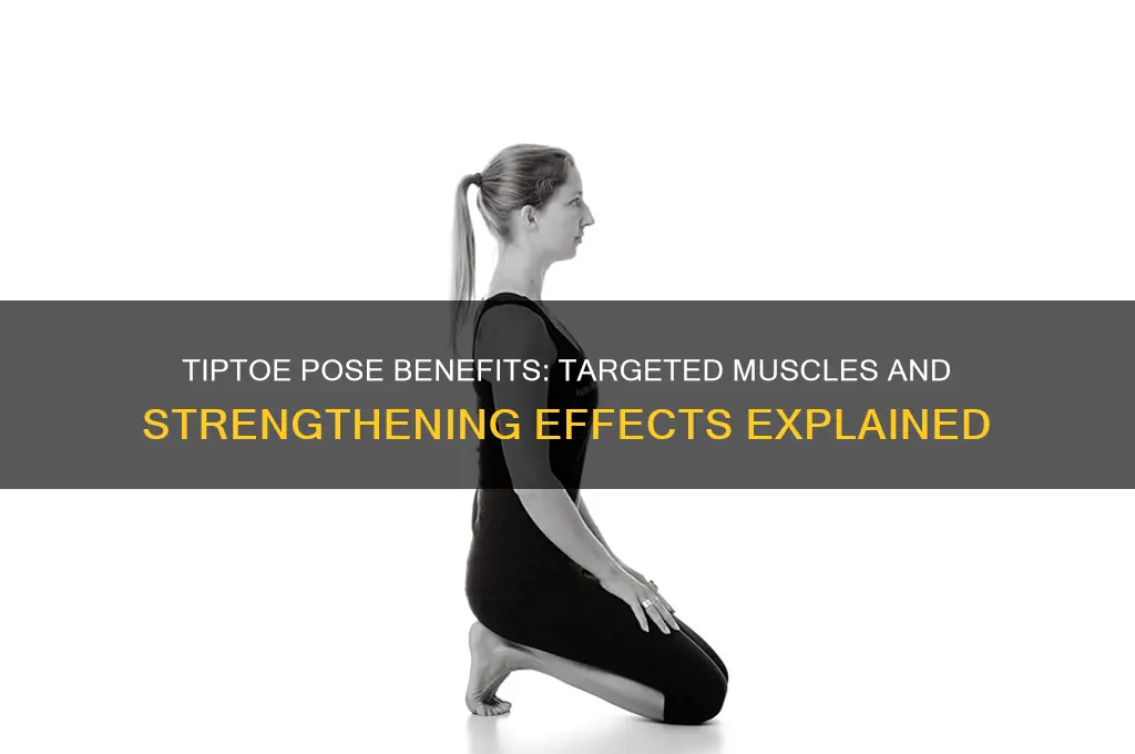 what muscles does tiptoe pose work