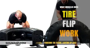 Tire Flip Workout: Target Muscles and Full-Body Benefits Explained