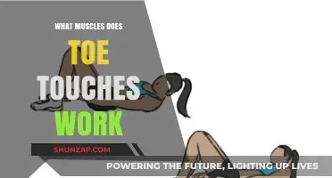 Toe Touches: Targeted Muscles and Benefits for Flexibility and Strength