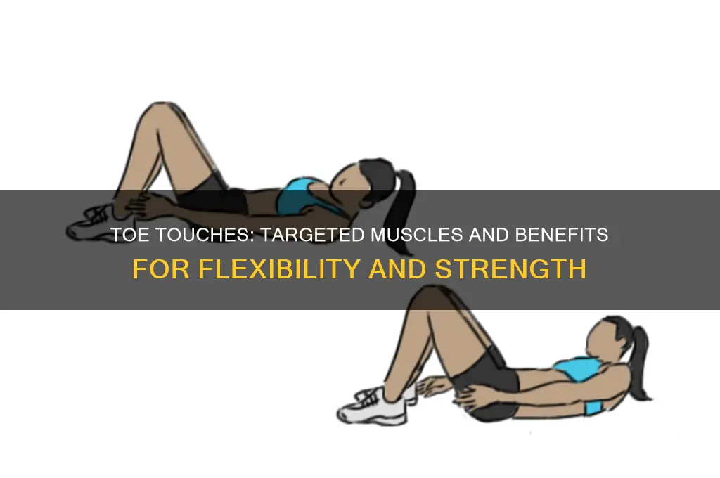 what muscles does toe touches work