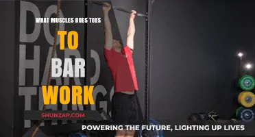 Toes to Bar Workout: Targeted Muscles and Core Strength Benefits