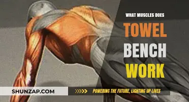 Towel Bench Workout: Targeted Muscles and Benefits Explained