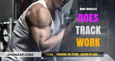 Track Workout Muscles: Unlocking the Power of Lower Body Strength