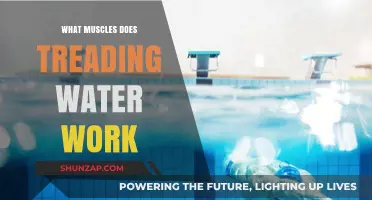 Treading Water Workout: Muscles Engaged and Benefits Explained
