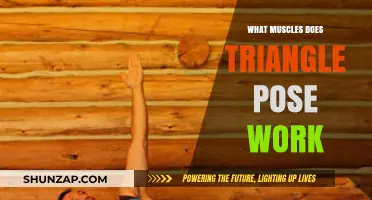 Triangle Pose Benefits: Targeted Muscles and Strengthening Effects Explained