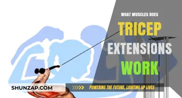 Tricep Extensions: Targeted Muscles and Effective Workout Benefits