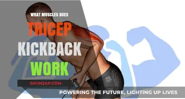 Tricep Kickback Muscles: Targeted Arm Toning and Strength Benefits