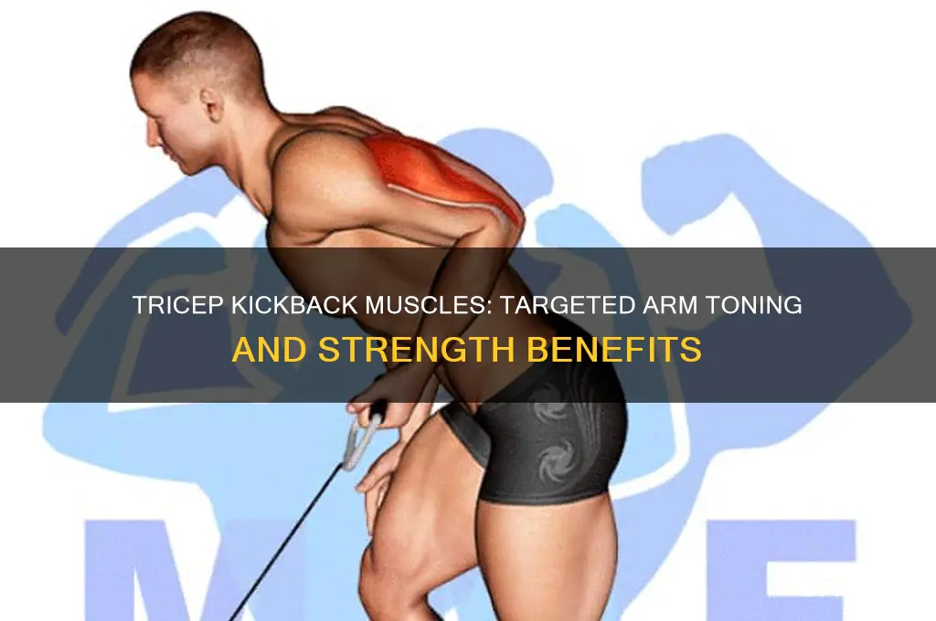 what muscles does tricep kickback work