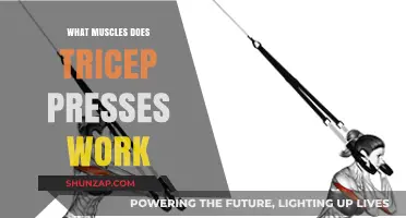 Tricep Presses: Target Muscles and Effective Workout Benefits Explained