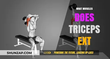 How Triceps Extension Can Strengthen Your Arms