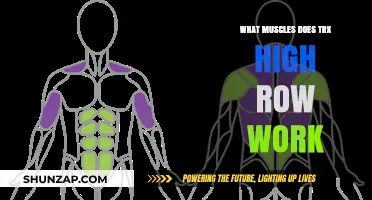 TRX High Row: Target Muscles and Benefits Explained
