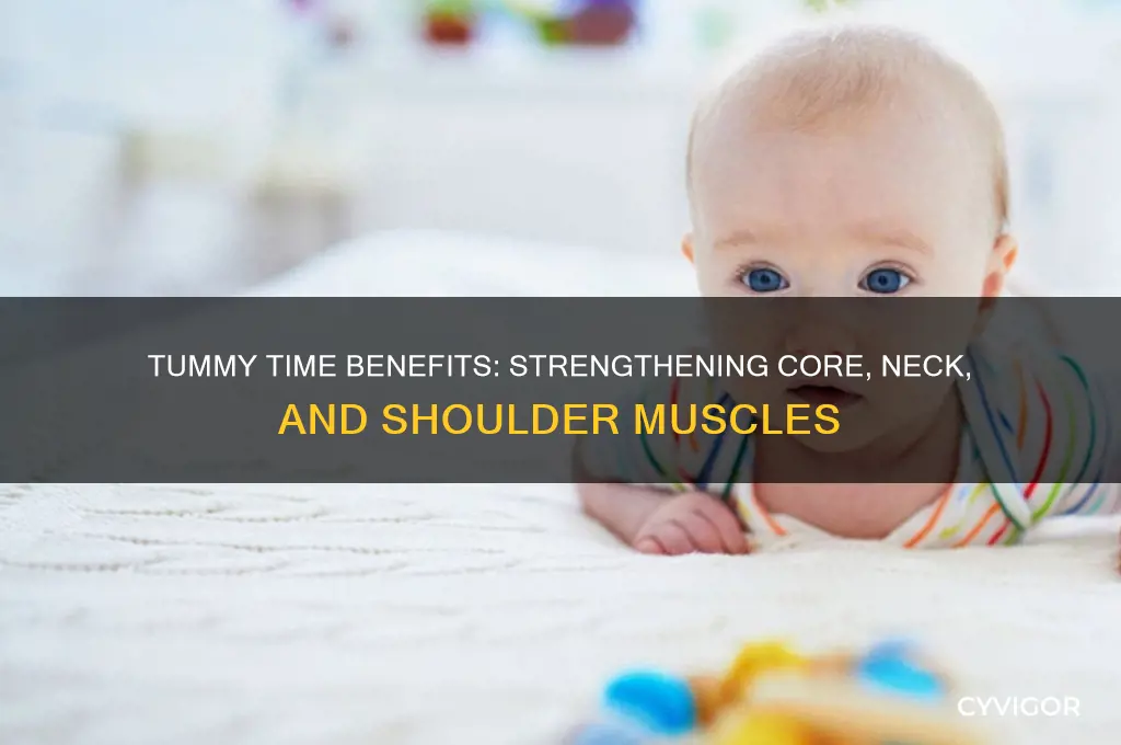 what muscles does tummy time work