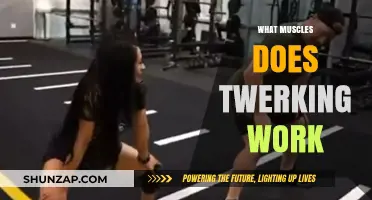Twerking Workout: Targeted Muscles and Fitness Benefits Explained